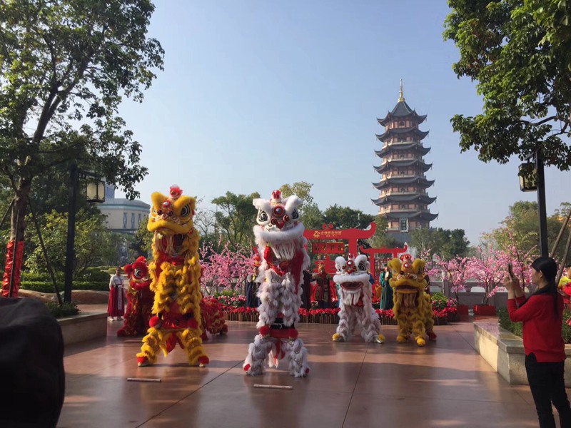 杭州旅游区舞狮表演